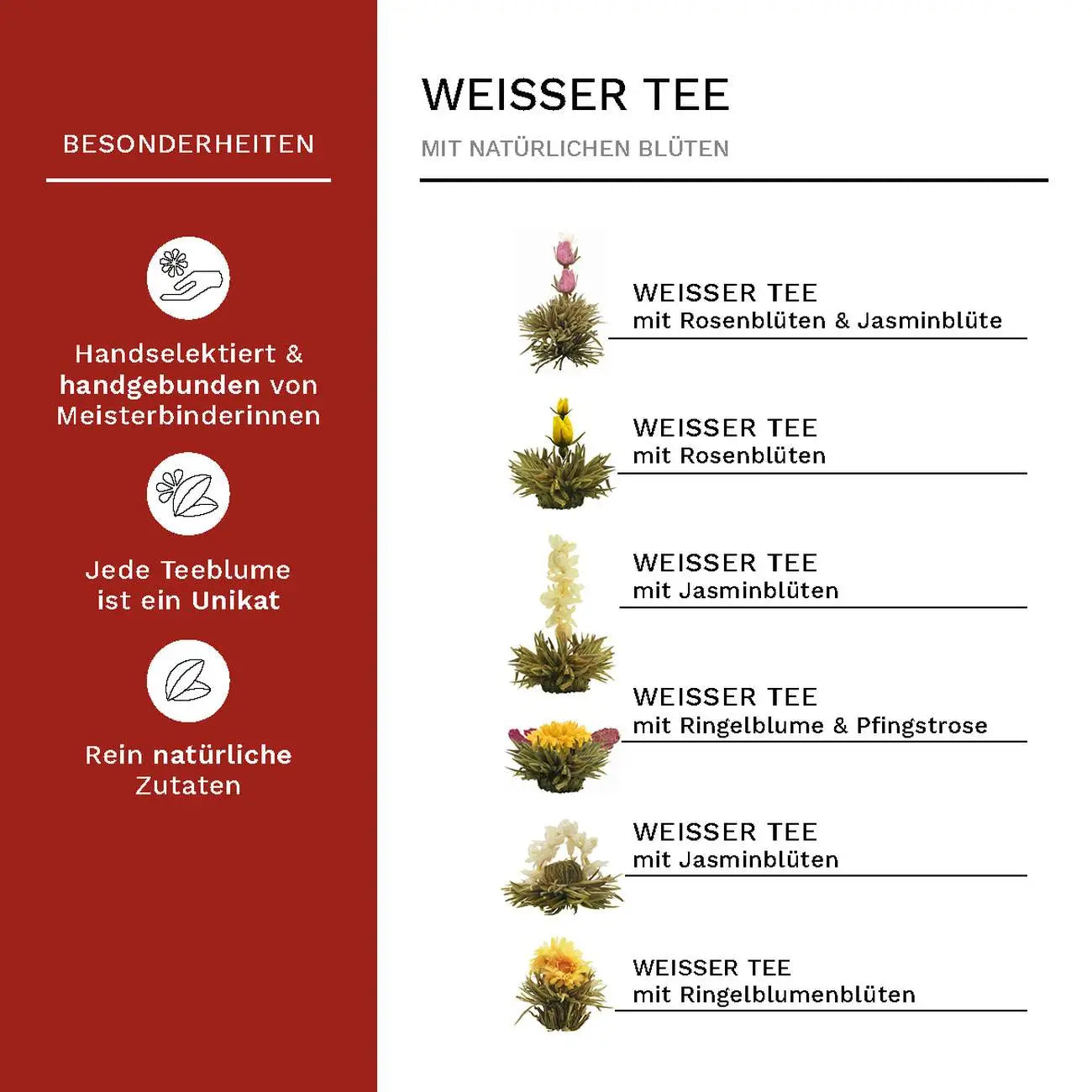 Creano Teeblumen Mix 6er ErblühTee "Weißer Tee" in edeler Box
