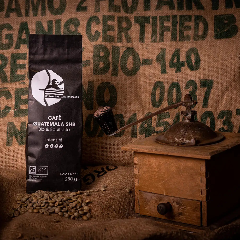 Bio- und Fair-Trade-Kaffee Guatemala