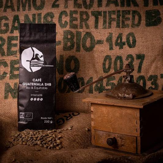 Bio- und Fair-Trade-Kaffee Guatemala