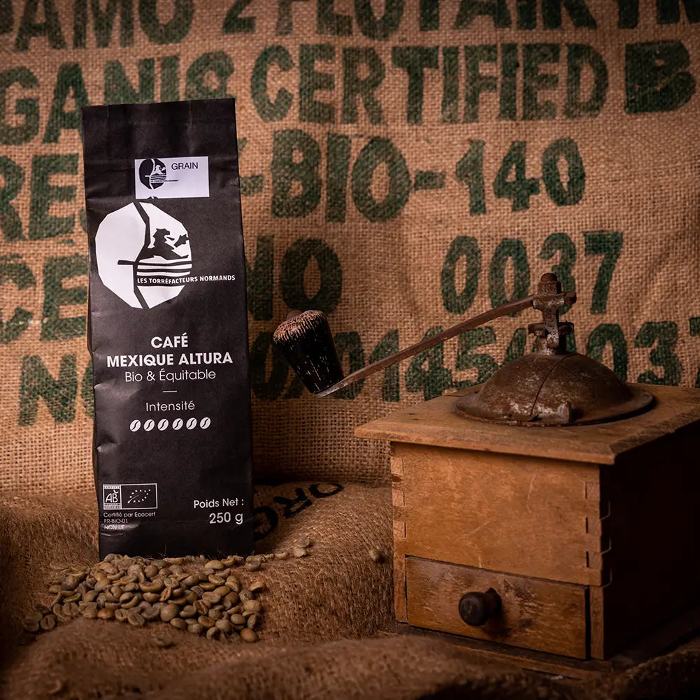 Bio- und Fair-Trade-Kaffee Mexiko