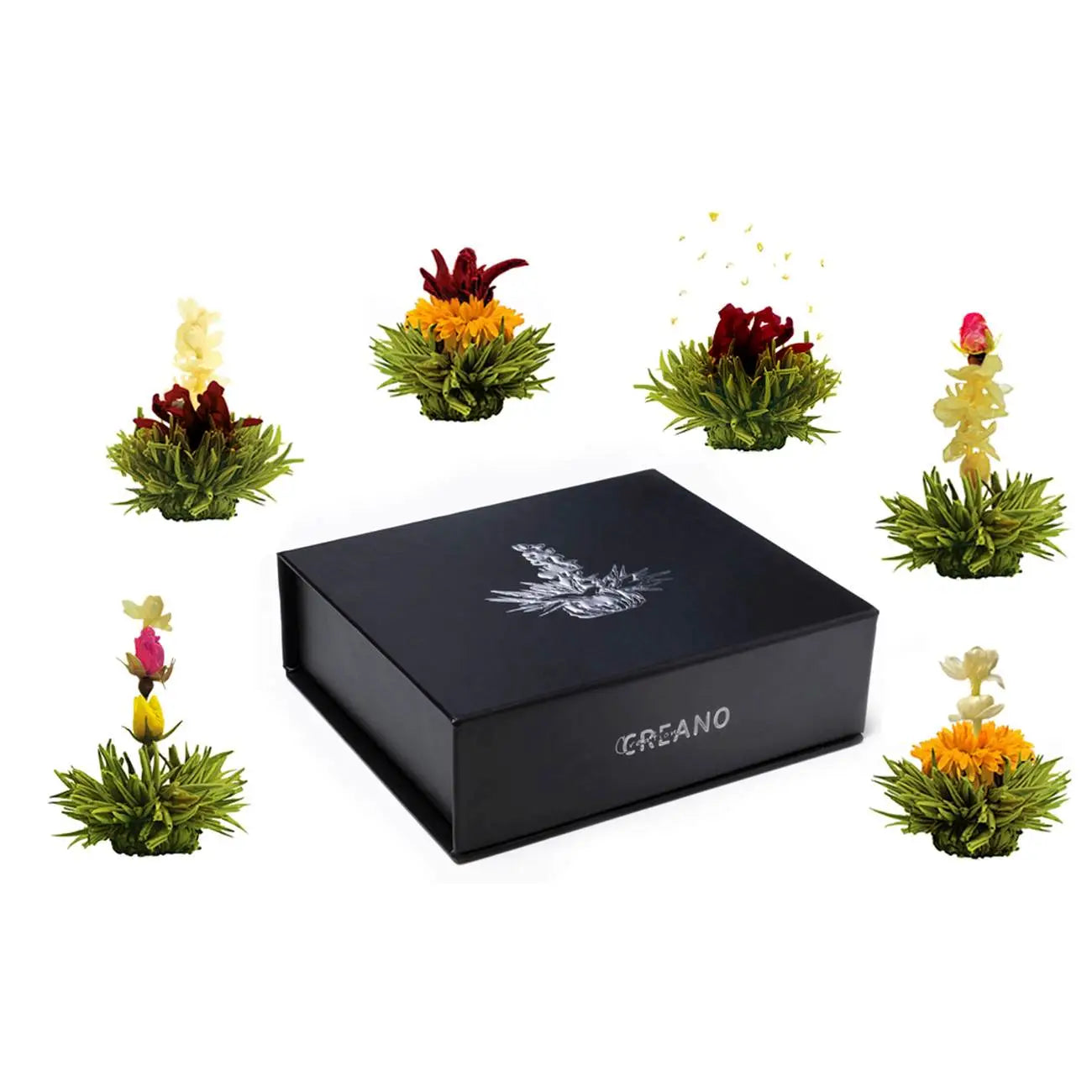 Magnetbox 6er ErblühTee Grüntee