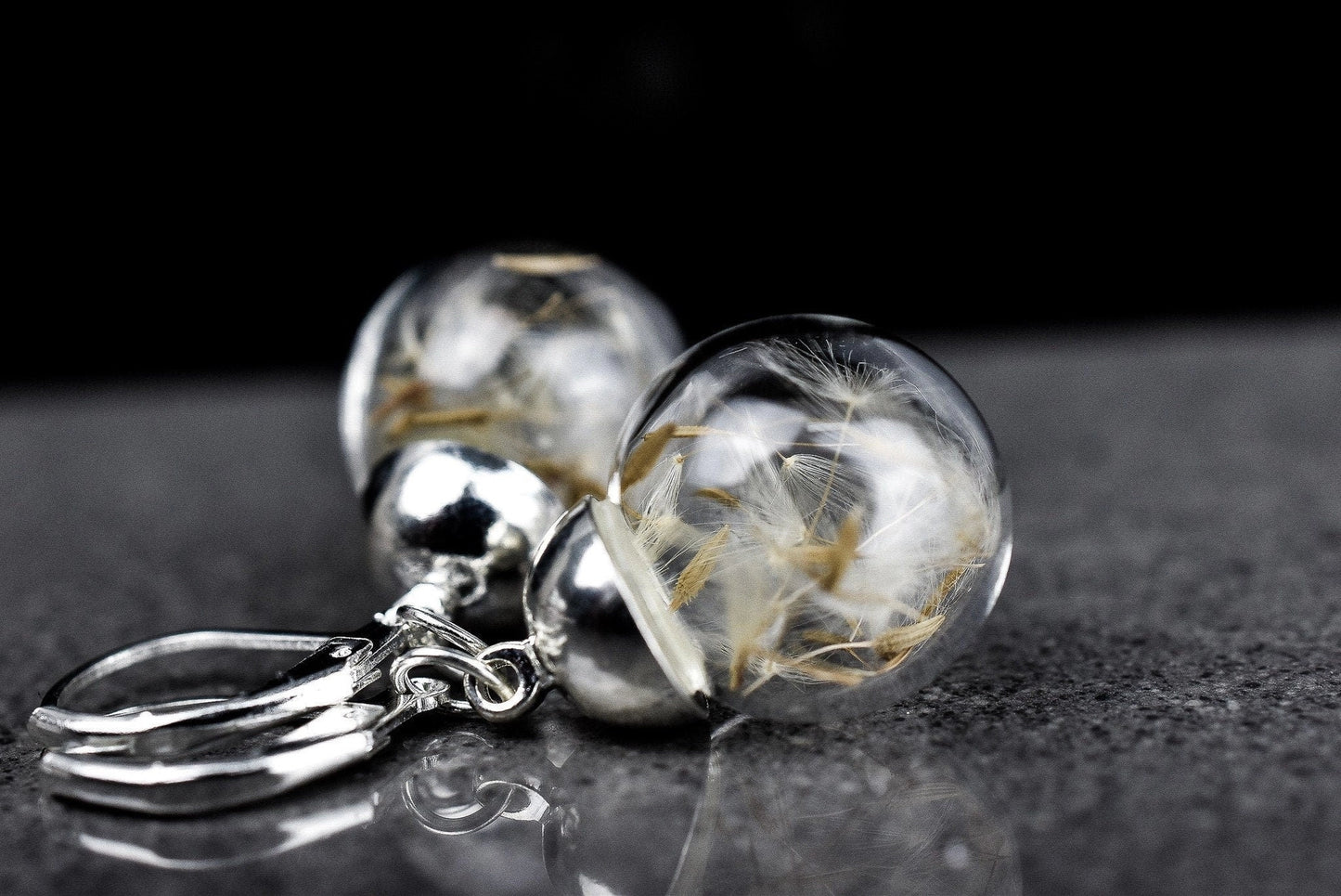 Echte Pusteblume Ohrringe -