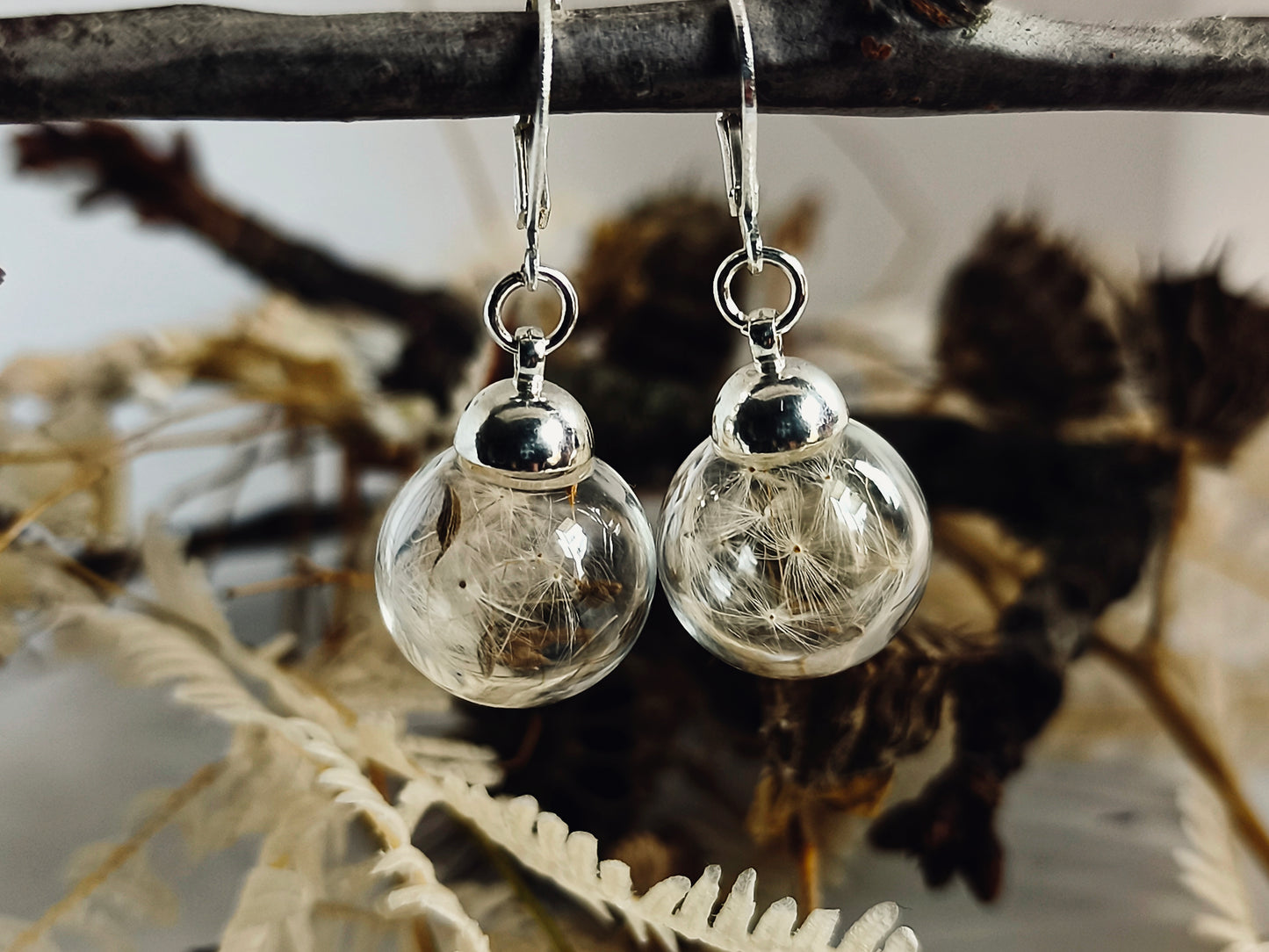 Echte Pusteblume Ohrringe -