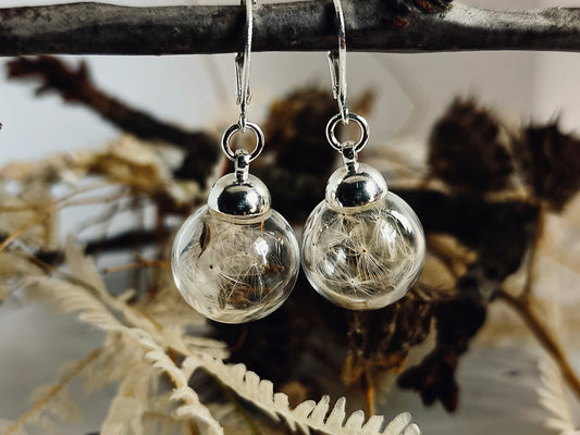 Echte Pusteblume Ohrringe -