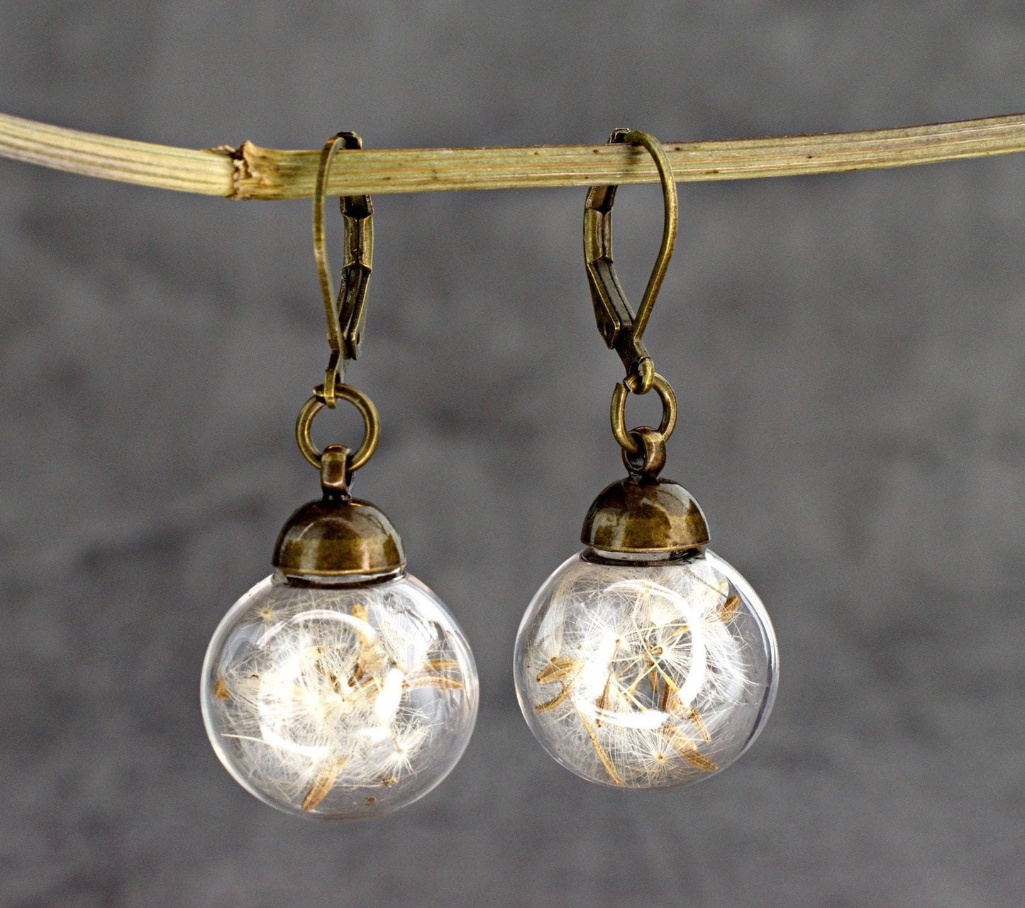 Echte Pusteblumen Ohrringe - Bronze Schmuck im Vintage Stil